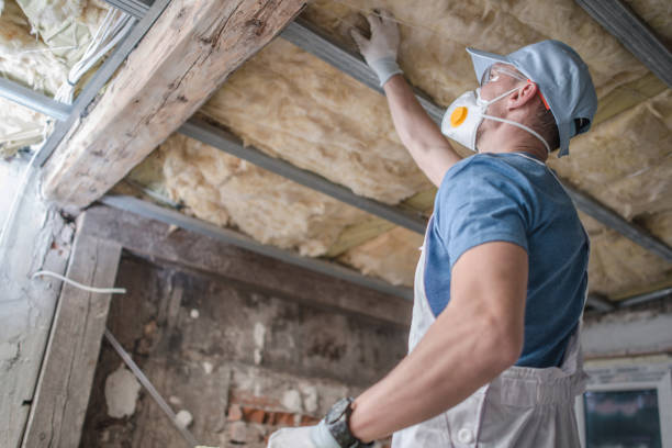 Best Commercial Insulation in Palatka, FL